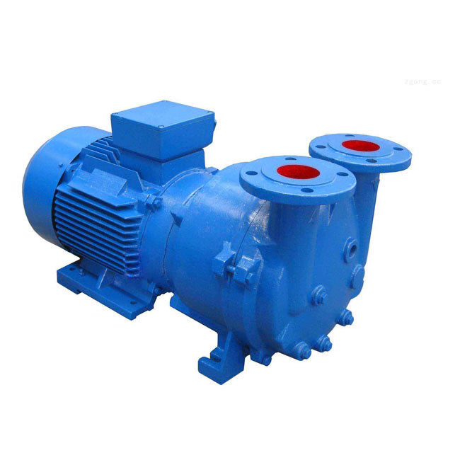 Диаметр ротора 300-1480 мм Водяной вакуумный насос для высокотемпературной среды